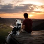 chiot de dos avec son maitre au coucher du soleil.