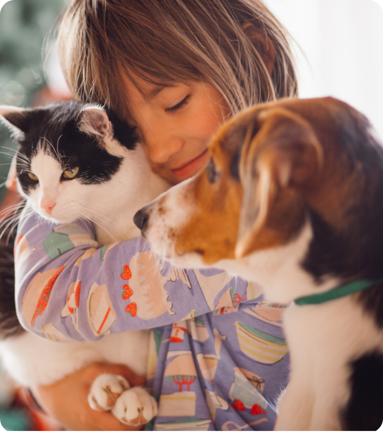 Petite fille calinant un chien beagle et un chat noir et blanc