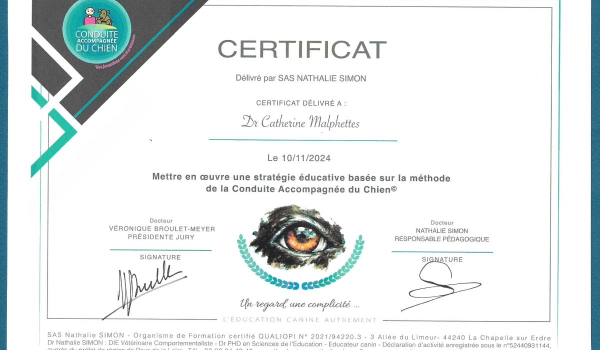 Diplôme Certification.