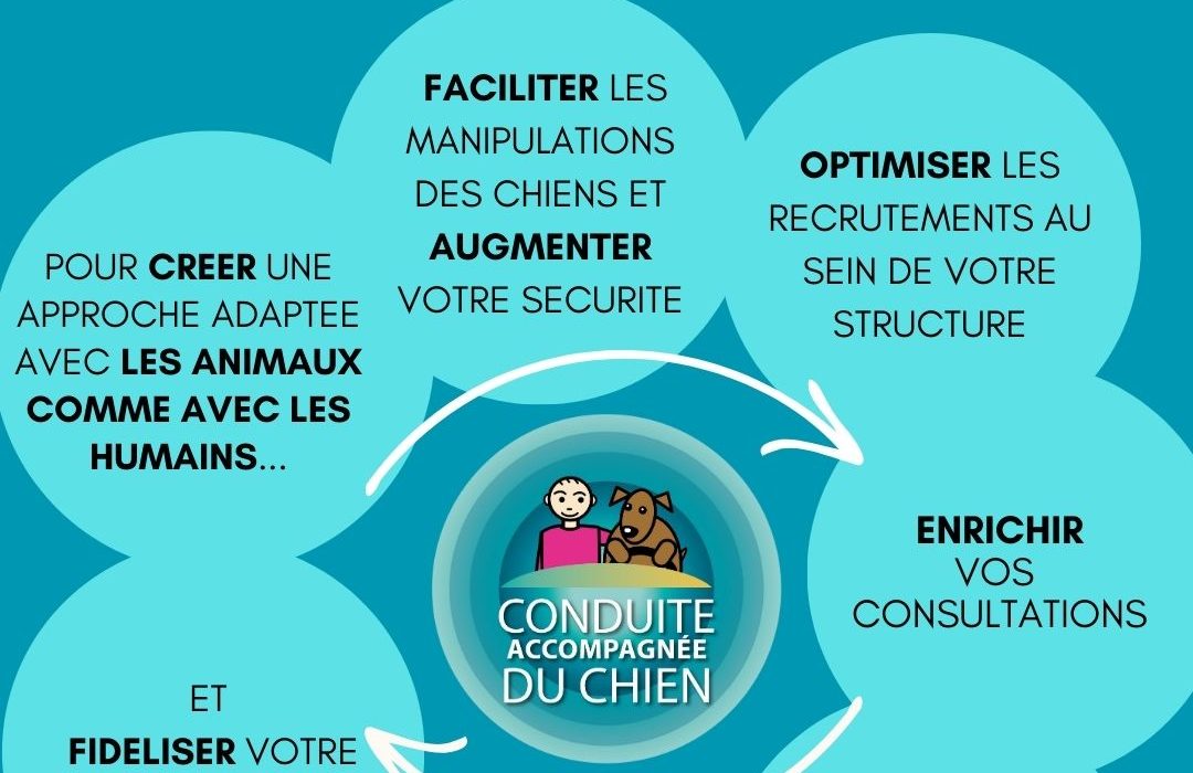 Panorama des formations