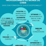 Panorama des formations