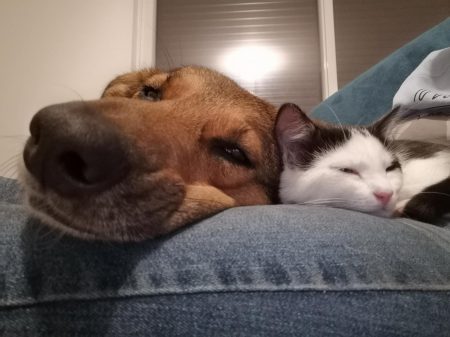 signal-2021-12-16-18-50-20-329 (3)